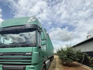 DAF EEV 460 + BERGER 2012 — miniatura 10