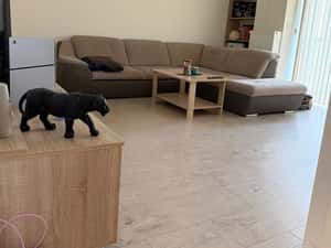 Apartament 2 camere, cu loc de parcare Aradului Agronomie — miniatura 4