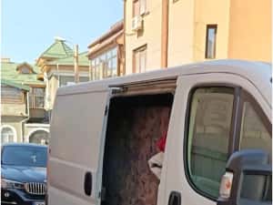 Servicii de curățenie,debarasarii,mutari ...... — miniatura 1