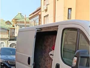 Servicii de curățenie,debarasarii,mutari ...... — miniatura 7