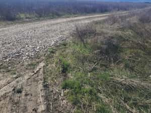 Teren pentru constructii case in Cristian