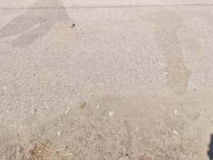 Bmw f20 turbo-benzina — miniatura 8