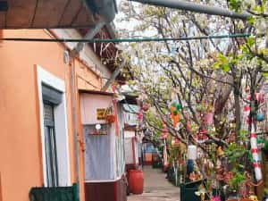 Casa +teren 266 mp București Viilor — miniatura 1