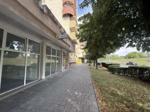 Spatii de Birouri/Comerciale de Inchiriat Bulevardul Transilvania — miniatura 5