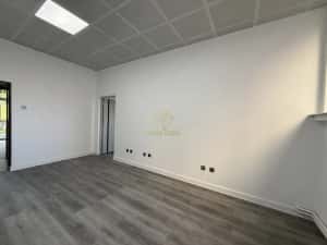 Spatii de Birouri/Comerciale de Inchiriat Bulevardul Transilvania — miniatura 8