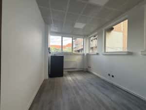 Spatii de Birouri/Comerciale de Inchiriat Bulevardul Transilvania — miniatura 9