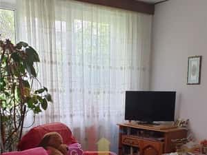2 camere, 54 mp,  Hipodrom, confort 1, etaj 1 — miniatura 4