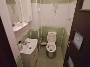 Apartament 3 camere decomandat,Lăpuș, etajul 1, 77mp, mobilat — miniatura 4