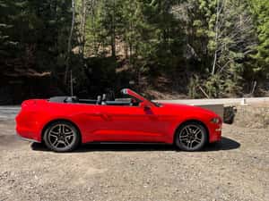Ford Mustang Cabrio 2020 - 310 cp - 21.000 EUR — miniatura 2