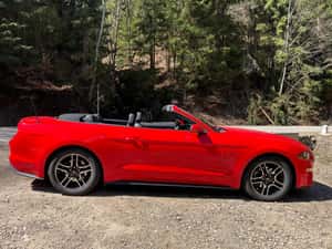 Ford Mustang Cabrio 2020 - 310 cp - 21.000 EUR — miniatura 3
