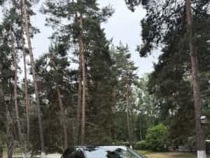 Nissan Qashqai 1.3 DIG hybrid- Automata-Înmatriculata Ro — miniatura 9