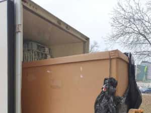 Transport, Mutari, Relocari, Debarasari in Timisoara, Romania, Europa — miniatura 5