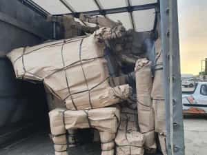 Transport, Mutari, Relocari, Debarasari in Timisoara, Romania, Europa — miniatura 6