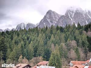 Apartamente de vânzare | Concept Apart-Hotel | Bușteni, Valea Alba — miniatura 4