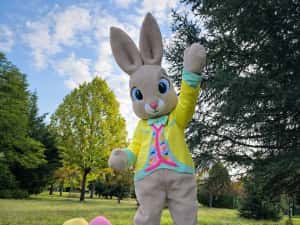 Costum Mascotă Easter Bunny Profesional – Iepuraș de Paște pentru Evenimente, Petreceri Copii și Gender Reveal — miniatura 5