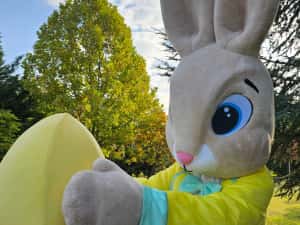 Costum Mascotă Easter Bunny Profesional – Iepuraș de Paște pentru Evenimente, Petreceri Copii și Gender Reveal — miniatura 6