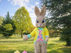 Costum Mascotă Easter Bunny Profesional – Iepuraș de Paște pentru Evenimente, Petreceri Copii și Gender Reveal — miniatura 7