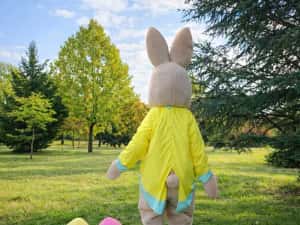 Costum Mascotă Easter Bunny Profesional – Iepuraș de Paște pentru Evenimente, Petreceri Copii și Gender Reveal — miniatura 8