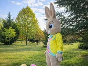 Costum Mascotă Easter Bunny Profesional – Iepuraș de Paște pentru Evenimente, Petreceri Copii și Gender Reveal — miniatura 9