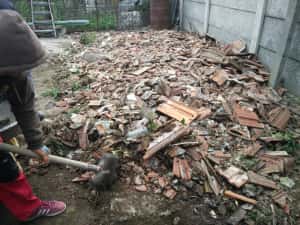 Transport moloz, saci, gunoi, mobila, skip, container, deșeuri, gunoi — miniatura 5