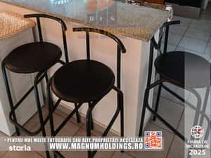 Garsoniera in vila, parter, Banat — miniatura 6