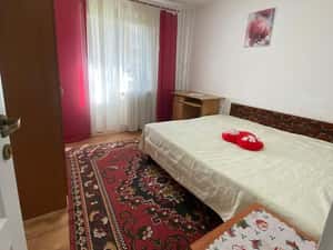 Apartament la parter mobilat si utilat, Narcisa — miniatura 5