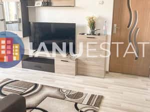 Soseaua Giurgiului Drumul Gazarului Piata Progresului PetFriendly* — miniatura 3