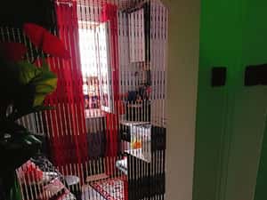 Garsoniera Salajan/Metrou Grigorescu/Parcare inclusa/Bloc Reabilitat — miniatura 5