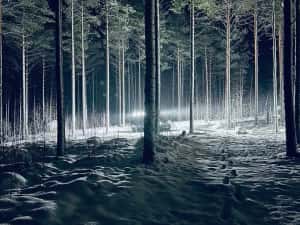 Proiector LED de lucru Purelux Panther Alpha 30 – 30W, 12V/24V — miniatura 3