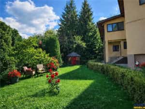 Tur LIVE!Casa cu arhitectura traditionala, curte spatioasa,foisor,Rucar. Bran — miniatura 1