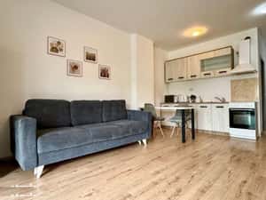 Copou, bloc nou, apartament 1 camera, mobilat/utilat, amenajat modern — miniatura 3