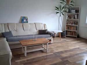 AP. 3 CAMERE - SEBASTIAN, PET-FRIENDLY, CENTRALA PROPRIE, BLOC NOU — miniatura 1