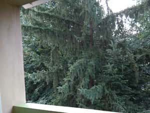 Inchiriez apartament 3 camere, Zona Nord — miniatura 6