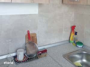 Apartament 1 camera, zona Soarelui - Buziasului — miniatura 6