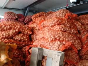 Cartofi de samanta  074[060]45[98) — miniatura 3