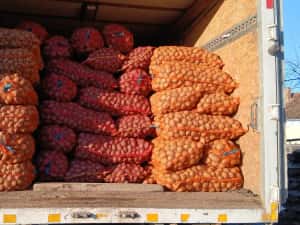 Cartofi de samanta  074[060]45[98) — miniatura 4