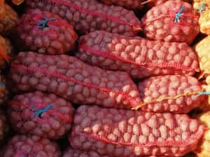 Cartofi de samanta  074[060]45[98) — miniatura 5