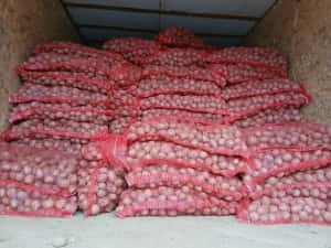 Cartofi de samanta  074[060]45[98) — miniatura 6