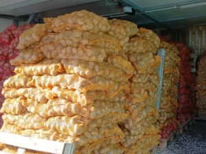 Cartofi de samanta  074[060]45[98) — miniatura 8