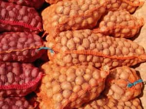 Cartofi de samanta  074[060]45[98) — miniatura 9