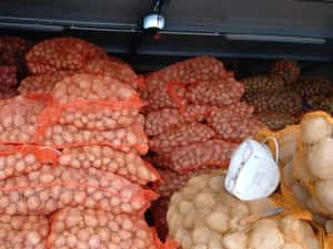 Cartofi de samanta  074[060]45[98) — miniatura 10