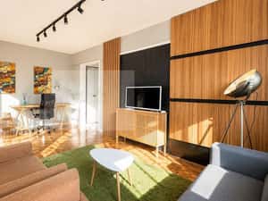 Închiriere 2 camere Cluj-Napoca | BT ARENA | ELECTRIC|  TIFF — miniatura 3