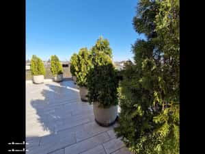Tatarasi - Impecabil Penthouse -apartament 4 camere + 2 bai + terasa — miniatura 1