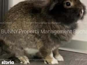 Gradina Icoanei 5 min pe jos! Mihai Eminescu | NJ800-M — miniatura 6