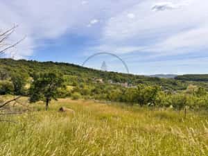 Oportunitate investiție! Teren 2.200 mp, Valea Budacului — miniatura 2
