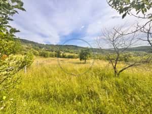 Oportunitate investiție! Teren 2.200 mp, Valea Budacului — miniatura 4