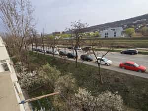 Inchiriere apartament ,Alexandru Cel Bun.Contract Anaf,300 euro — miniatura 4