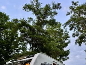 Rulota Lunar Lexon 590 Ultima | Model Rar Premium | Cort aer + Mover — miniatura 8