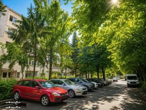 Apartament 2 camere - 49 mp Utili - Nord - Etaj 3 din 4 - Allea Nalbei — miniatura 3