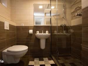 ULTRACENTRAL,Garsoniera de inchiriat mobilata , PROPRIETAR !!! — miniatura 6